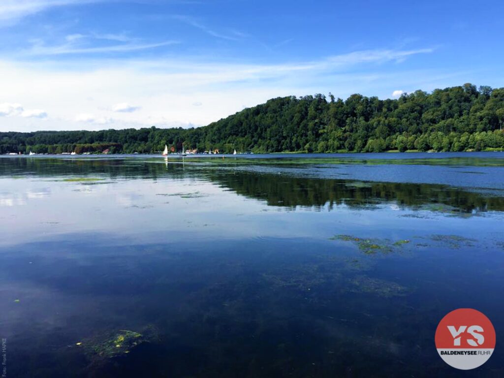 algen algenpest baldeneysee 2016